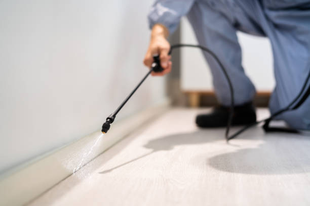 Certified termite inspector examining foundation in Fair Oaks